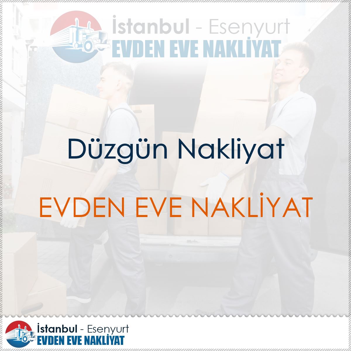 Düzgün Nakliyat : Kapak Görseli